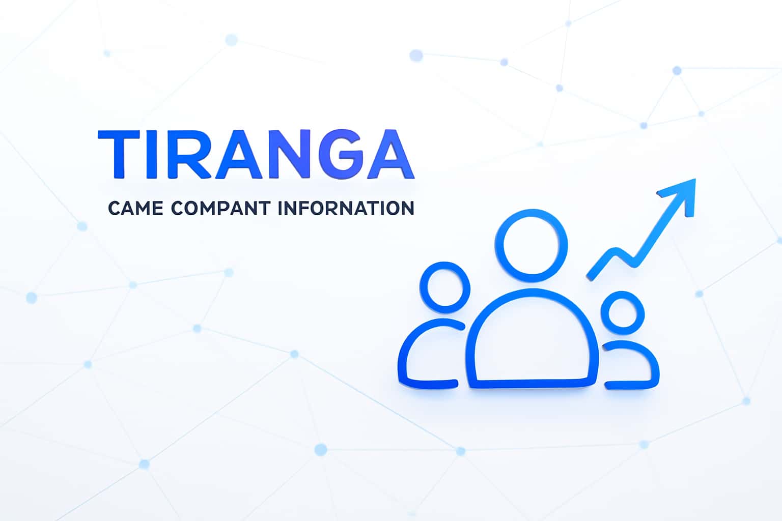Tiranga Game Company Information Interface